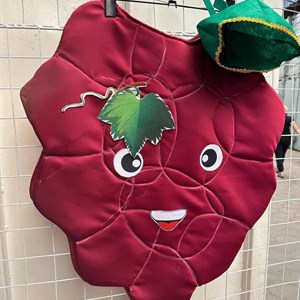 Осенние новинки Костюм Винограда