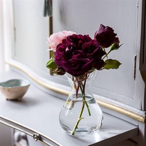    D R E S S B E R R Y     Дордой Европа 1 проход