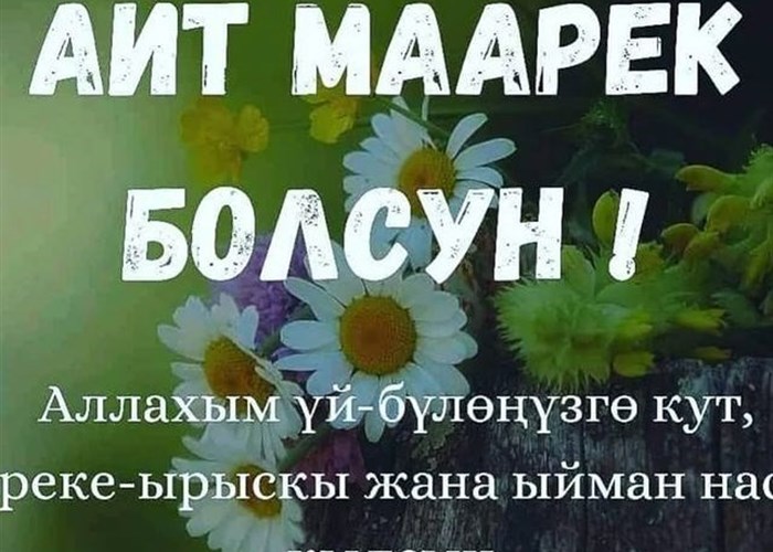 Лицать сперму в жопу порно