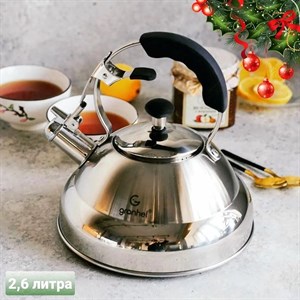 Получили чайники Granhel из нержавеющей стали высокого