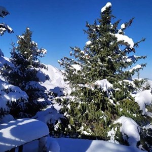 Огромный выбор Выгляди стильно Лёгкое комфортное