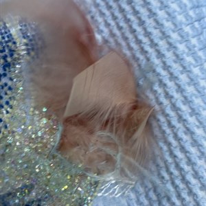 NEW COLLECTION 2022 2023