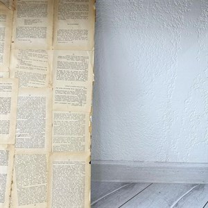    D R E S S B E R R Y     Дордой Европа 1 проход