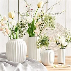    D R E S S B E R R Y     Дордой Европа 1 проход