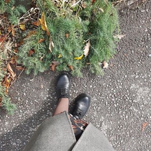 Колготки из хлопка в чёрном и кофейном цвете на фото