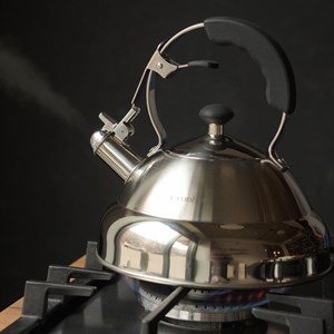 Чайник Granhel Stainless Steel — идеальный выбор для вашего дома