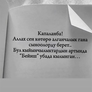 Бесплатная доставка по городу