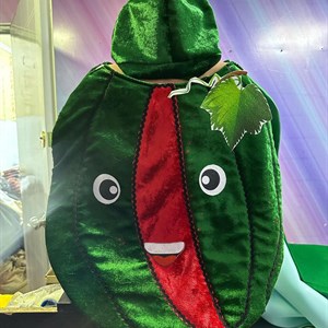 Осенние новинки костюм арбуз оптом 600сом