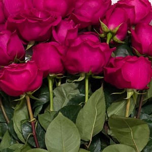 Качественная женская одежда от производителя в Бишкеке