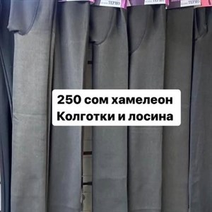 ДЖУНХАЙ 3  ПРОХ 5  6  КОН ДОСТАВКА ВО ВСЕ СТРАНЫ ЗАКУП