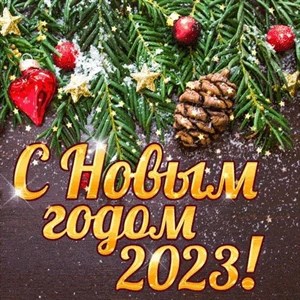 Дорогие наши друзья будьте счастливы в новом году