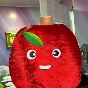 Осенние новинки костюм яблоко оптом 600сом