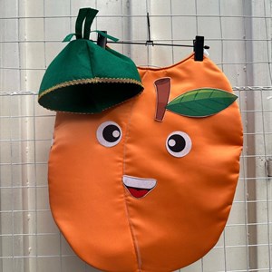 Эксклюзив Осенние Новинки Костюм Абрикос