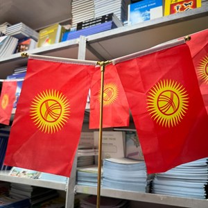 Флаг Кыргызстана 🇰🇬 - Оптовая и розничная продажа