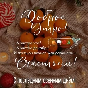 На носу Новый Год и мы уже приготовили для Вас коллекцию