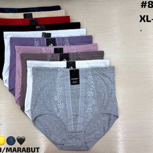 Нижнее бельё оптом, артикул 8841-1 — 10 цветов, размеры 1XL–3XL
