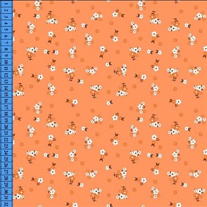 Доставка по всему миру рынок дордой