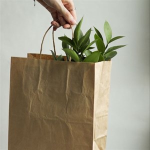 Крафт полиэтиленовые пакеты и т д Только оптом Режим