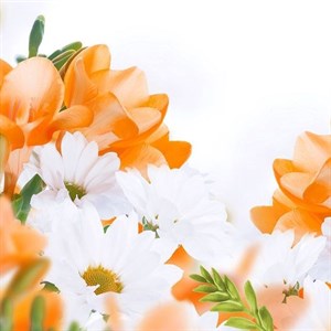 Творите Живите Любите Жизнь короткий миг Она не даст