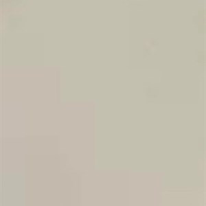 Жилет выгодная деталь осеннего гардероба трендовые