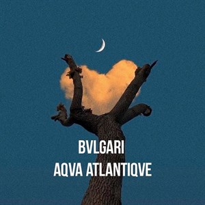 Премьера аромата Aqva pour Homme Atlantiqve от Bvlgari