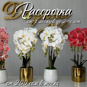 Рассрочка на товары для дома в Кыргызстане – Доступно и Удобно!