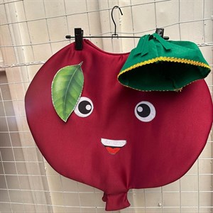 Эксклюзив Осенние новинки Костюм Гранат