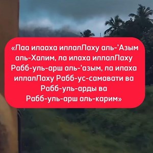 Бесплатная доставка по городу