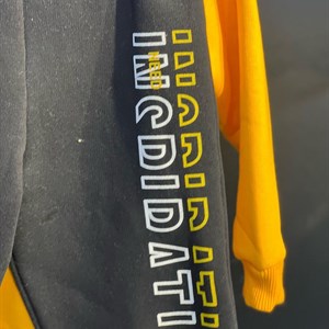 Модная двойка с начёсом шикарного качество очень тёплая