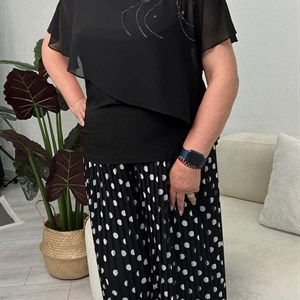    D R E S S B E R R Y     Дордой Европа 1 проход