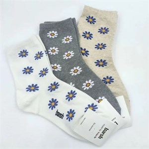 7 проход контейнер 4В0   Оптом носки Джунхай Отправка