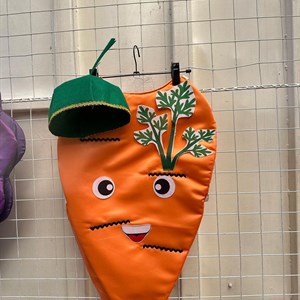 Эксклюзив Осенние Новинки Костюм Моркови