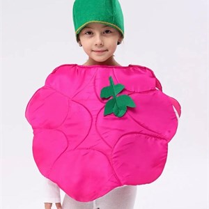 Костюм Малина на подкладке Размер стандарт подойдёт