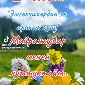 Платье Оптом Рынок Дордой Ряд Артика 2 конт 8 Отправка