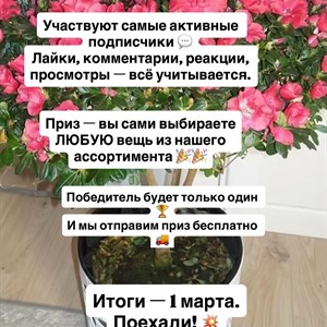 Участвуй в конкурсе и выиграй приз от нашего магазина!