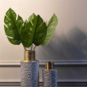    D R E S S B E R R Y     Дордой Европа 1 проход