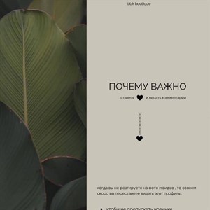    D R E S S B E R R Y     Дордой Европа 1 проход