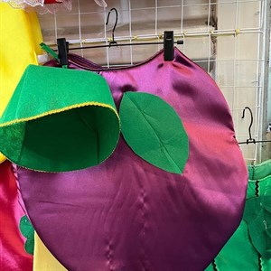 Костюм Слива