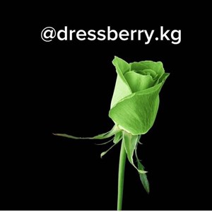    D R E S S B E R R Y     Дордой Европа 1 проход