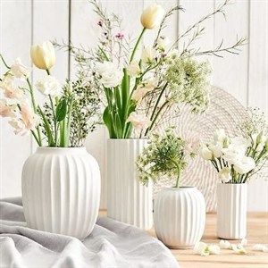    D R E S S B E R R Y     Дордой Европа 1 проход