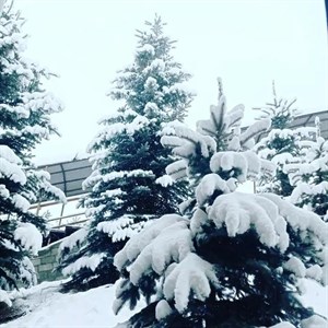 Огромный выбор Выгляди стильно Лёгкое комфортное
