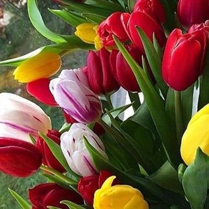 Для наших дам в честь праздника 8 марта