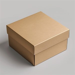 Плотные коробки с крышкой - идеальное решение для упаковки | Экономия на опте