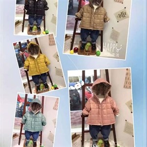 Однотонные и повседневные ветровки