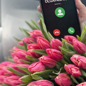 Весенние модели 2026 от Olga Fashion - Женская Одежда Оптом