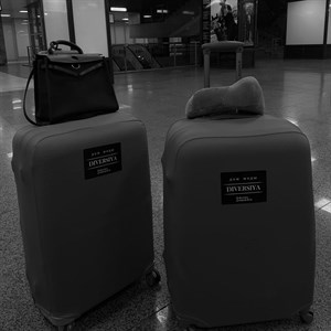 Наша первая рабочая поездка Удачи нам