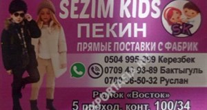 Дордой Восток 5 проход 100/34